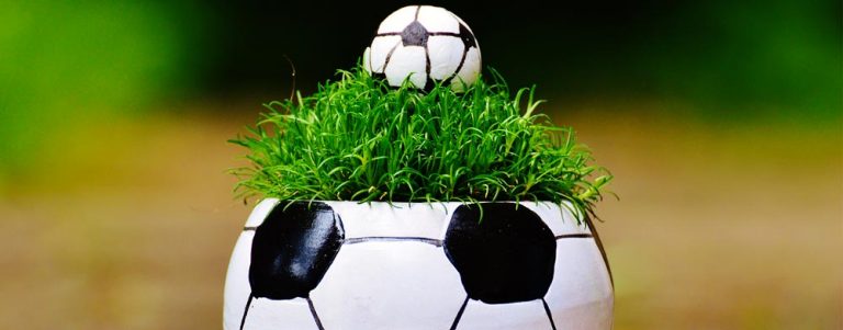 Avellino ai primi posti delle squadre campane più famose del web