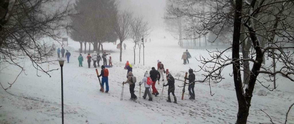 Neve-laceno