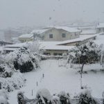 lapio