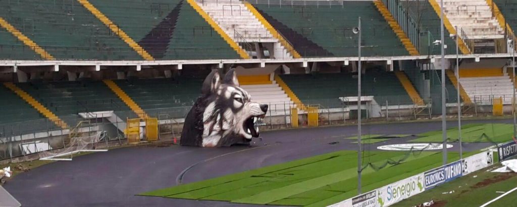 lupo-stadio-avellino