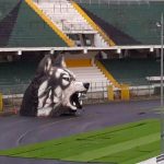 lupo-stadio-avellino