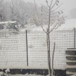 neve-lioni
