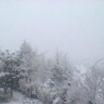 neve-flumeri