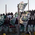 tifosi-brescia-avellino