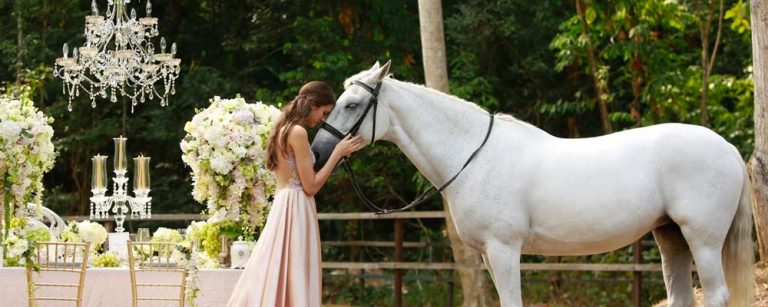 L’arrivo della sposa in carrozza, come vivere una favola moderna nel giorno del Sì