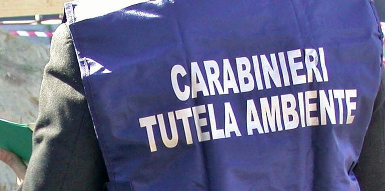 Reati ambientali: task-force dell’Arma in Irpinia, sequestrate intere aree