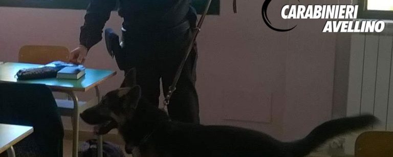 Droga nel bagno degli studenti, blitz dei carabinieri a scuola
