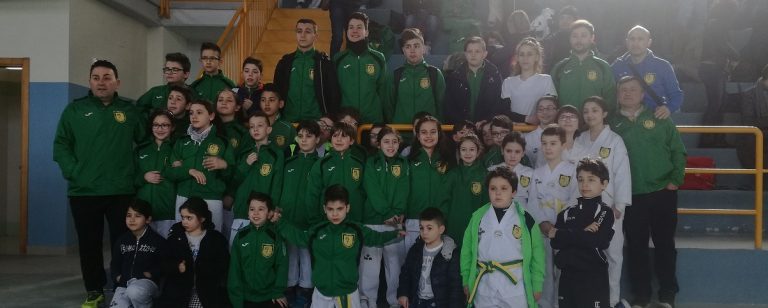 Asd Taekwondo Avellino, stage di combattimento al Palasport di Grottolella