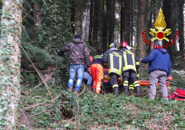 Schiacciato dal tronco di un albero sul Laceno: grave un uomo