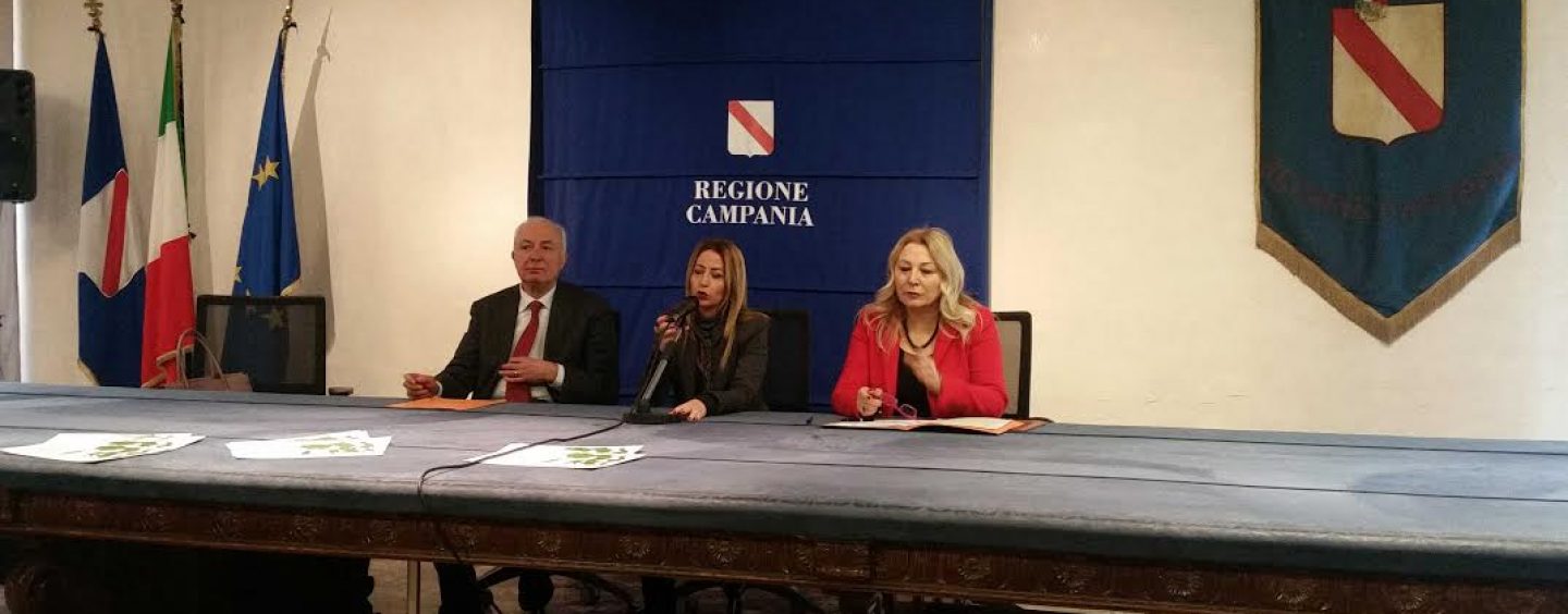 Piano di Zona A4-Avellino, dopo due settimane dal “commissariamento” nessun atto ufficiale della Regione