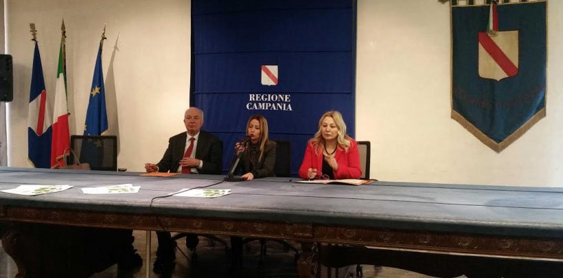 Piano di Zona A4-Avellino, dopo due settimane dal “commissariamento” nessun atto ufficiale della Regione