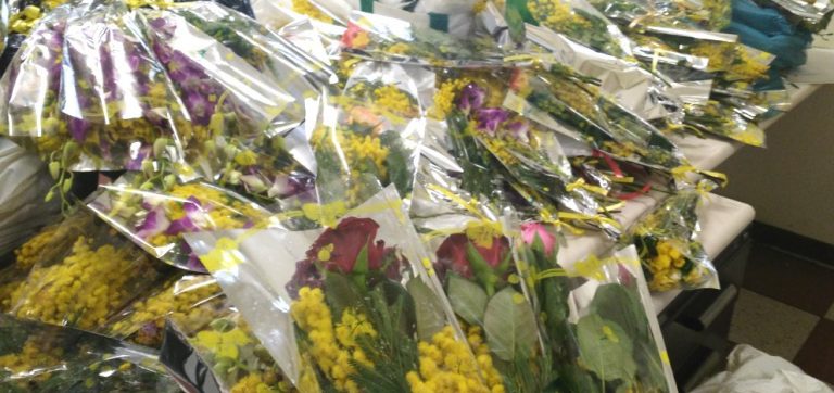 Blitz della Municipale, sequestro di mimose ad Avellino e maxi multa