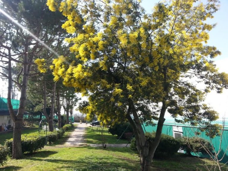 Torneo di Pre-qualificazione agli Internazionali BNL d’Italia – GAME DAY5