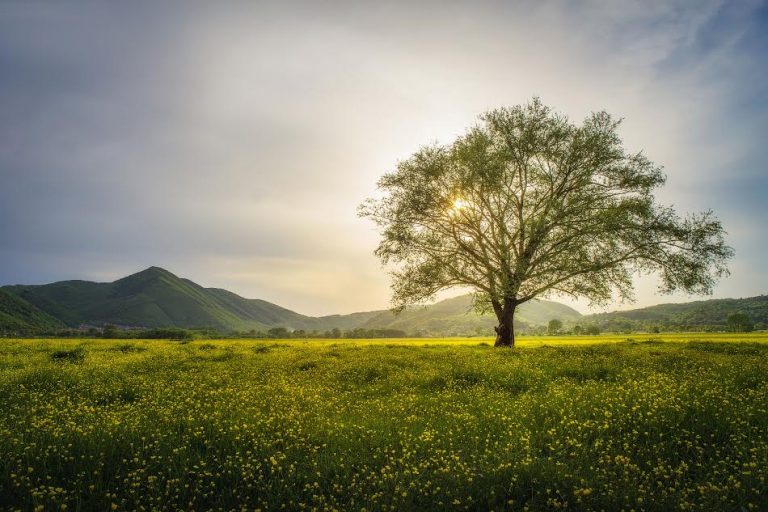Info Irpinia presente alla Fiera del Turismo di Napoli