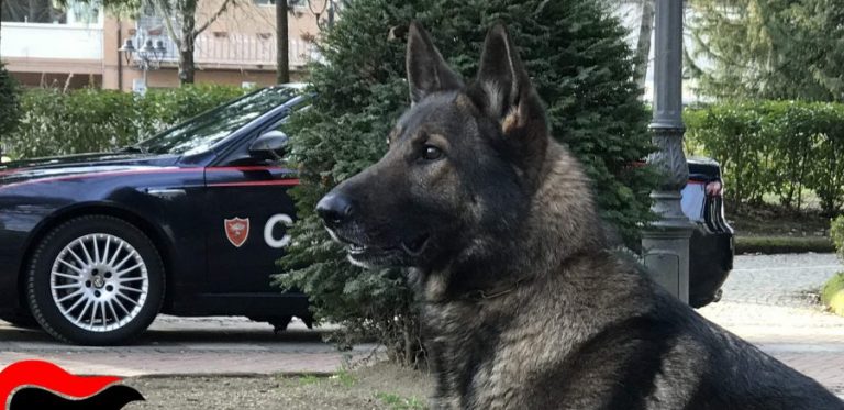 Pasqua sicura, il bilancio dell’Arma: sei arresti e decine di segnalazioni per droga