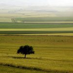 Rotolando verso Sud 1