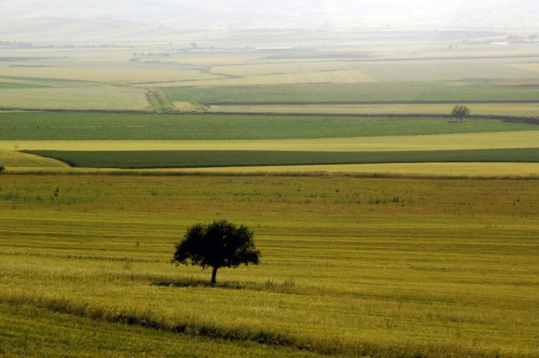 FOTO/ Rotolando verso Sud: in cammino verso l’Arcangelo, da Savignano a San Leonardo di Siponto