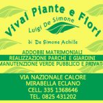 Vivai de simone