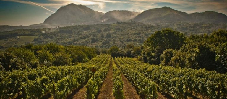 Vinitaly, passata la sbornia restano i vini dell’Irpinia: dagli antichi romani a Scanzi