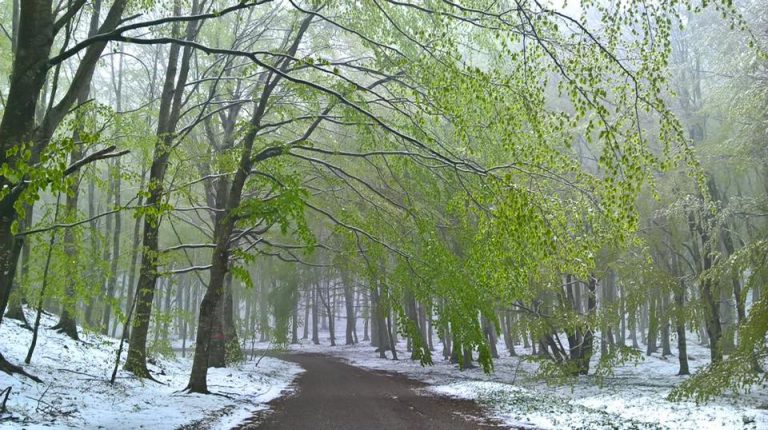 FOTO/ Ondata di freddo sull’Irpinia, torna la neve sul Partenio