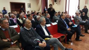 platea