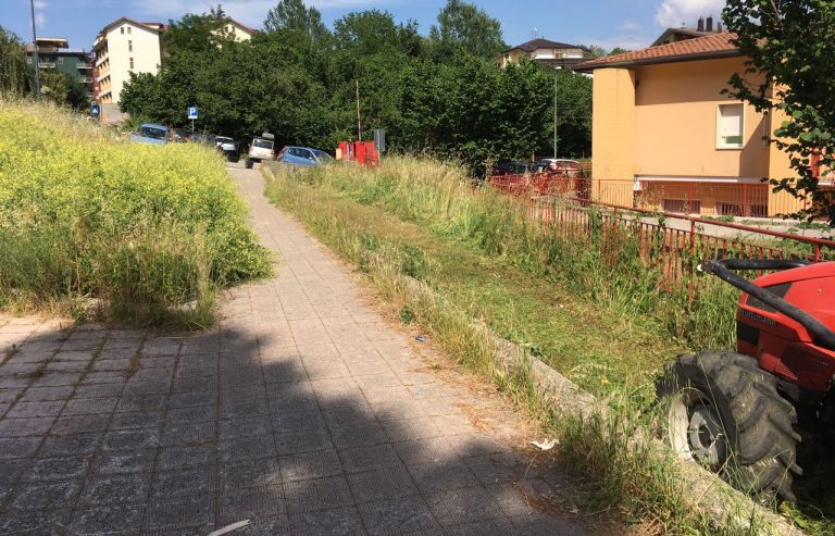 FOTO/ Il miracolo di Santa Rita: derattizzazione e pulizia delle aree verdi, primi segnali dal Comune di Avellino