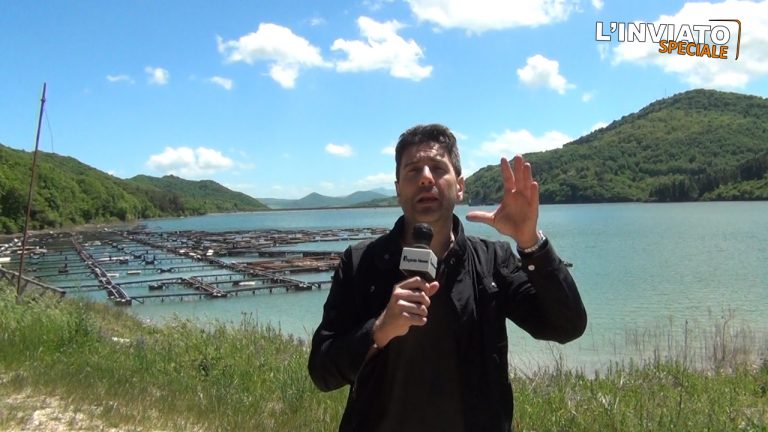 VIDEO/ Amara scoperta de “L’inviato Speciale”: barili arrugginiti e tossici nell’oasi di Monteverde