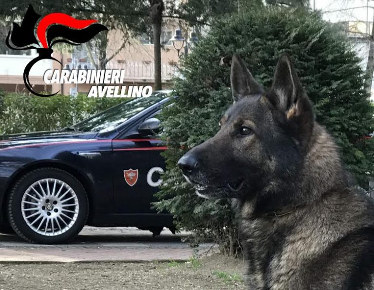 Carabinieri e unità cinofile: controlli a Montemiletto e in Valle Ufita