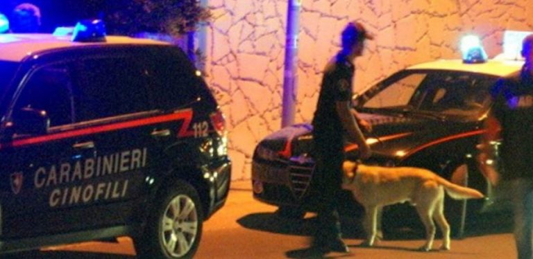 Munizioni e piante di marijuana in casa: nei guai coppia di Montoro