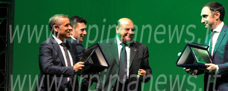Avellino Calcio – Trattativa societaria, D’Agostino si defila: il punto