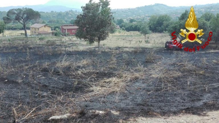 Irpinia in fiamme, più di 20 interventi dei VVF