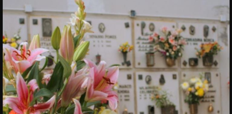 Estate, stop fiori nei cimiteri. Divieto assurdo secondo Coldiretti