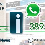 numero whatsapp