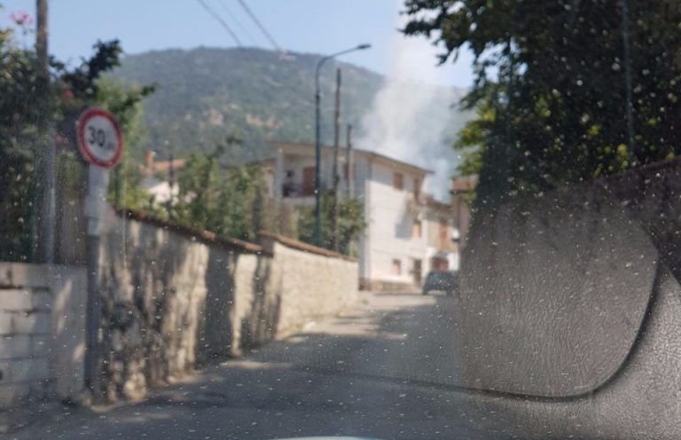 Rogo di rifiuti nella notte a Serino, intervento straordinario di Guardia Forestale e VVF