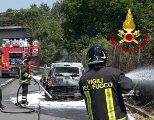 vigili 2