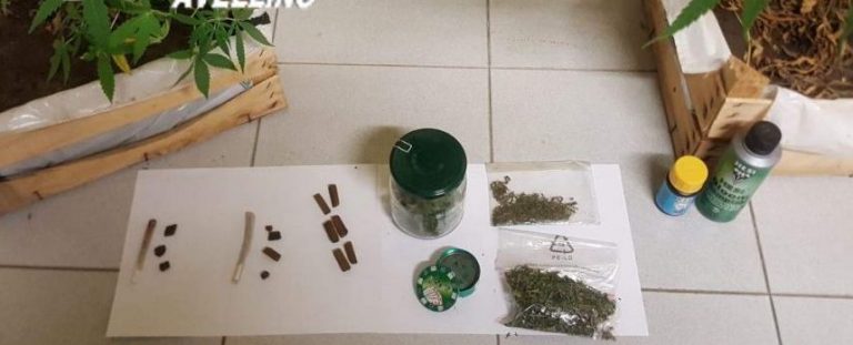 Minorenni sorpresi a consumare droga proveniente da un “coltivatore”
