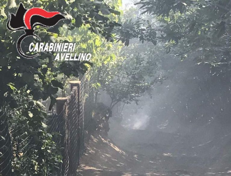 Ancora otto persone denunciate dai carabinieri per combustioni illecite