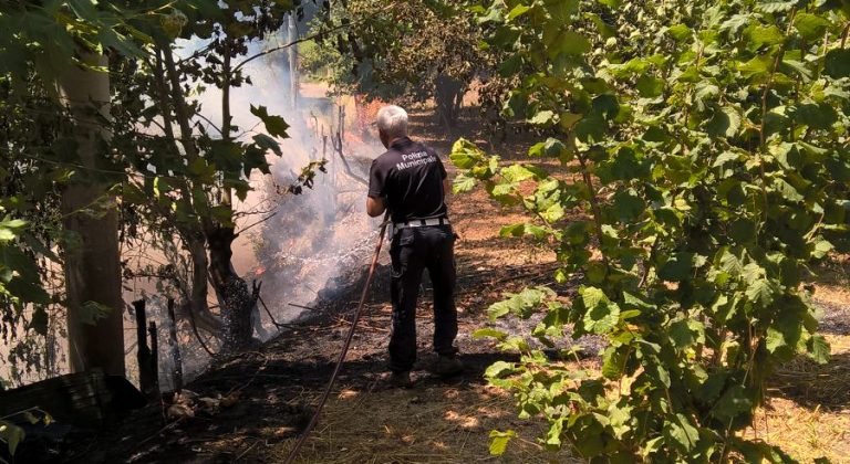 La Polizia Municipale doma incendio in città, in attesa dei caschi rossi