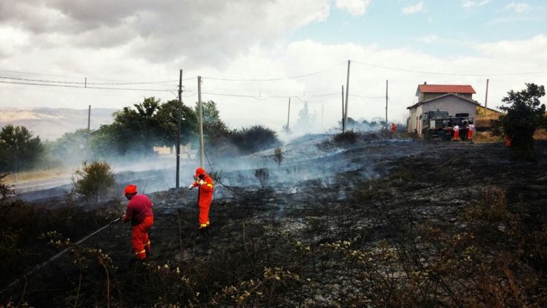 Ancora fiamme in Irpinia: sono 5 i roghi attivi, situazione preoccupante a Caposele