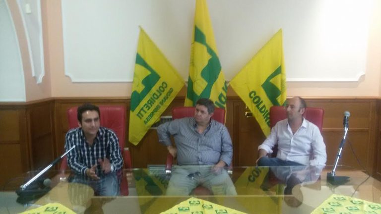 E’ la giornata degli 8 Agrichef irpini, Acampora (Coldiretti): “Fondamentale il racconto del territorio”
