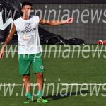 avellino-molina