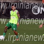 falasco-avellino