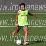 moretti