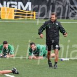 novellino-avellino