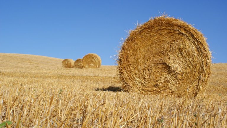 L’utilizzo della paglia dall’agricoltura all’edilizia, se ne discute a Fontanarosa