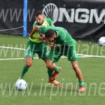 pecorini-bidaoui