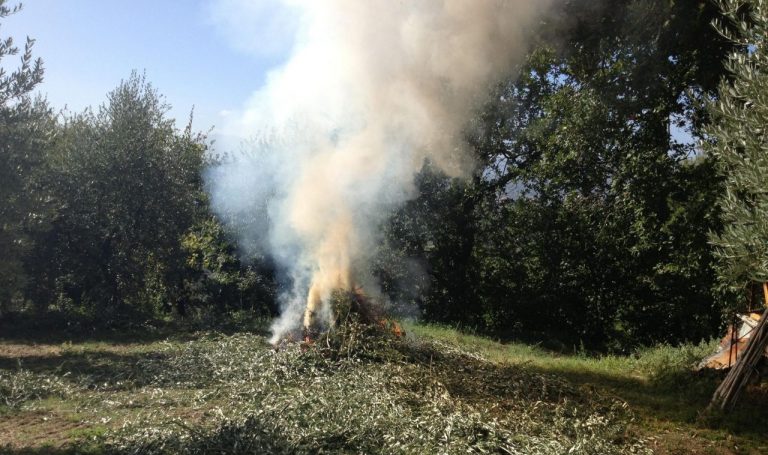 Roghi agricoli, abbruciamenti consentiti una volta a settimana in città