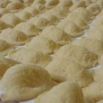 sagra coccetella 2