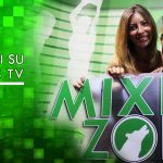 mixed zone