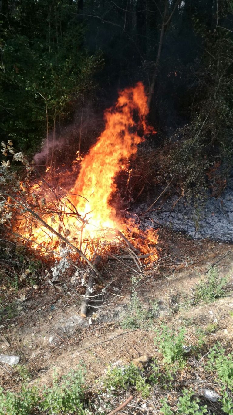 Due operai ustionati a Forino nel tentativo di spegnere gli incendi